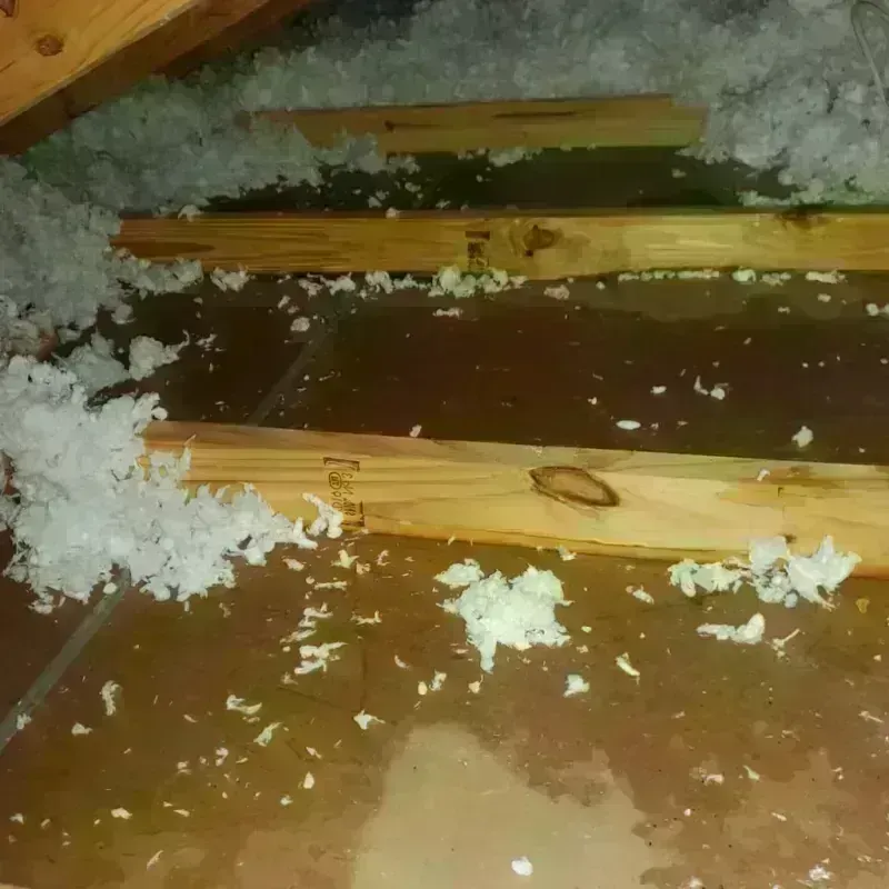 Attic Water Damage in Flanders, NY